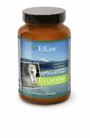 E3 Canine