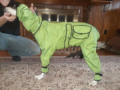 Dog-E-Raincoat and Snood