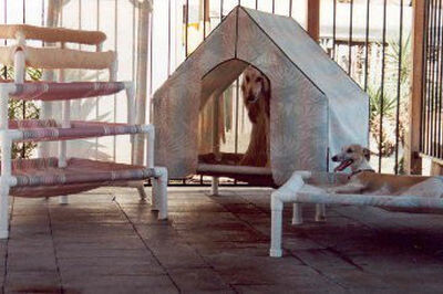 SummerWinds® Rest-A-Pet Lounge Complete Pup-Tent Textylene Fabric