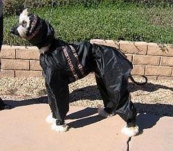 Dog-E-Raincoat and Snood
