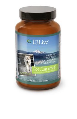 E3 Canine