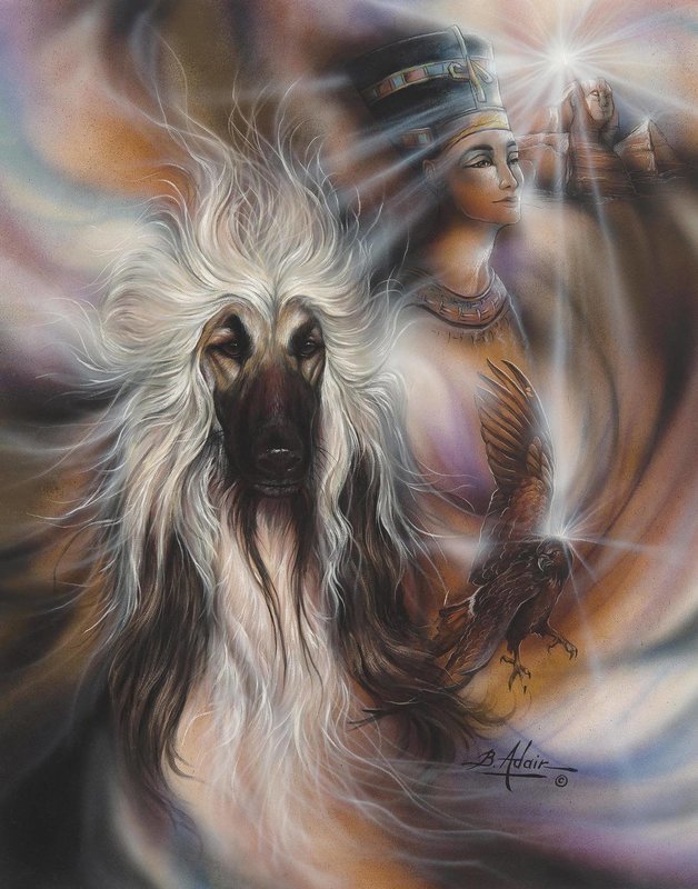 &quot;Jet&quot; Signed &amp; Numbered, Limited Edition Prints