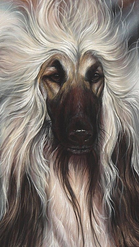 "Jet" Signed &amp; Numbered, Limited Edition Prints