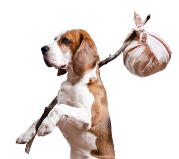 SummerWinds® Flea &amp; Tick Control