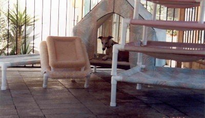 SummerWinds® Rest-A-Pet Lounges
