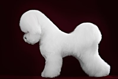 Click Here to see Top Selling Products