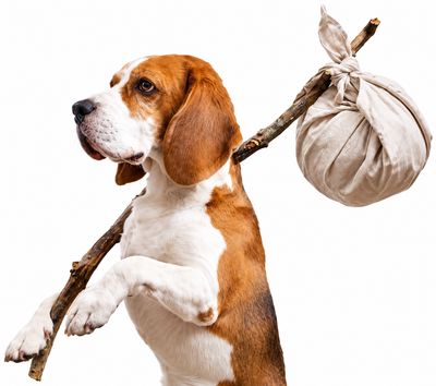 SummerWinds® Flea &amp; Tick Control