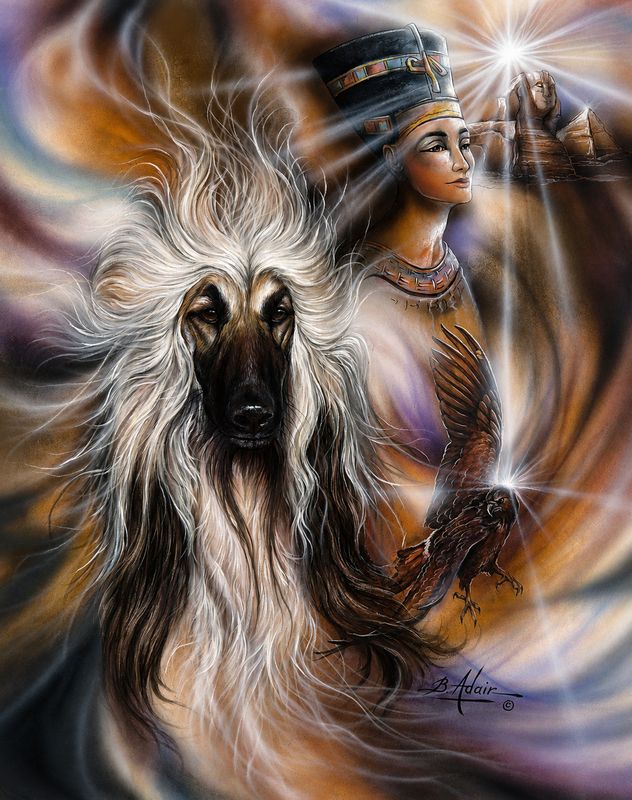 "Jet" Signed &amp; Numbered, Limited Edition Prints