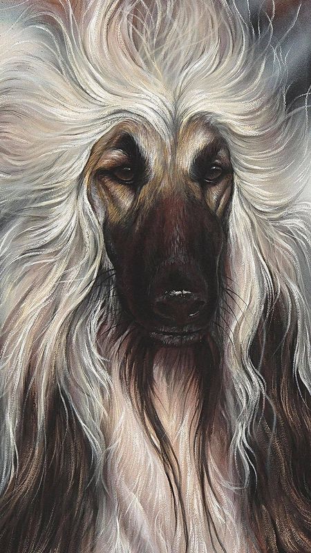 "Jet" Signed &amp; Numbered, Limited Edition Prints