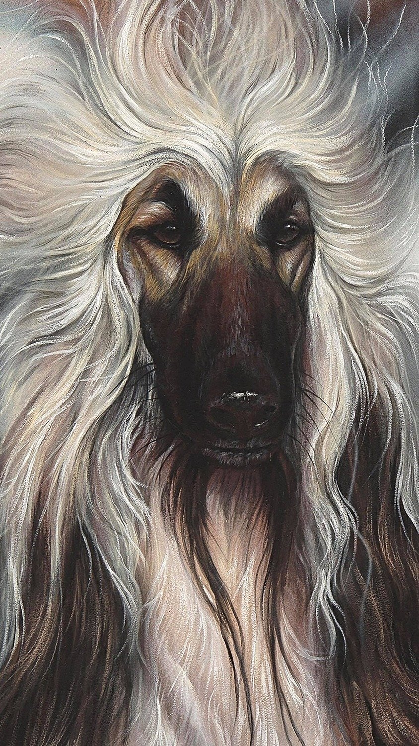"Jet" Signed &amp; Numbered, Limited Edition Prints