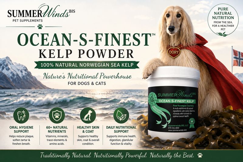 SummerWinds®  Ocean-S-Finest Kelp