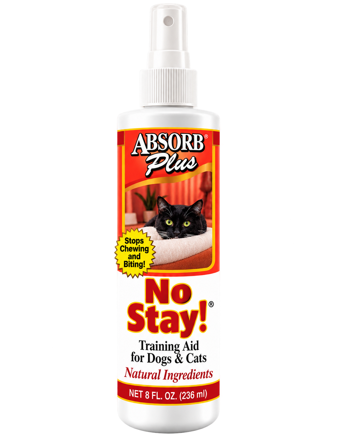 No Stay!