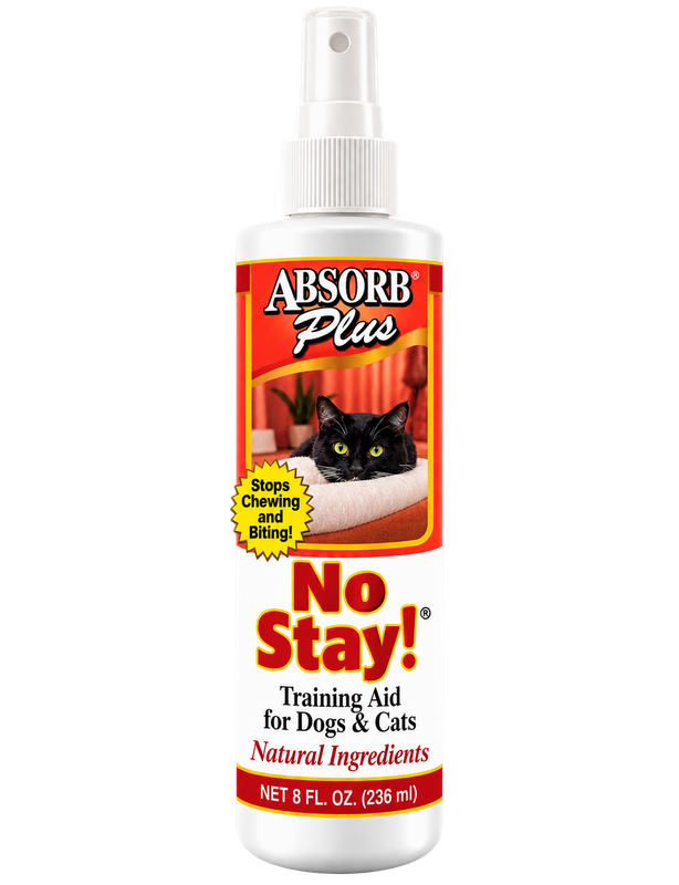 No Stay!
