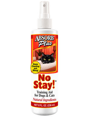No Stay!