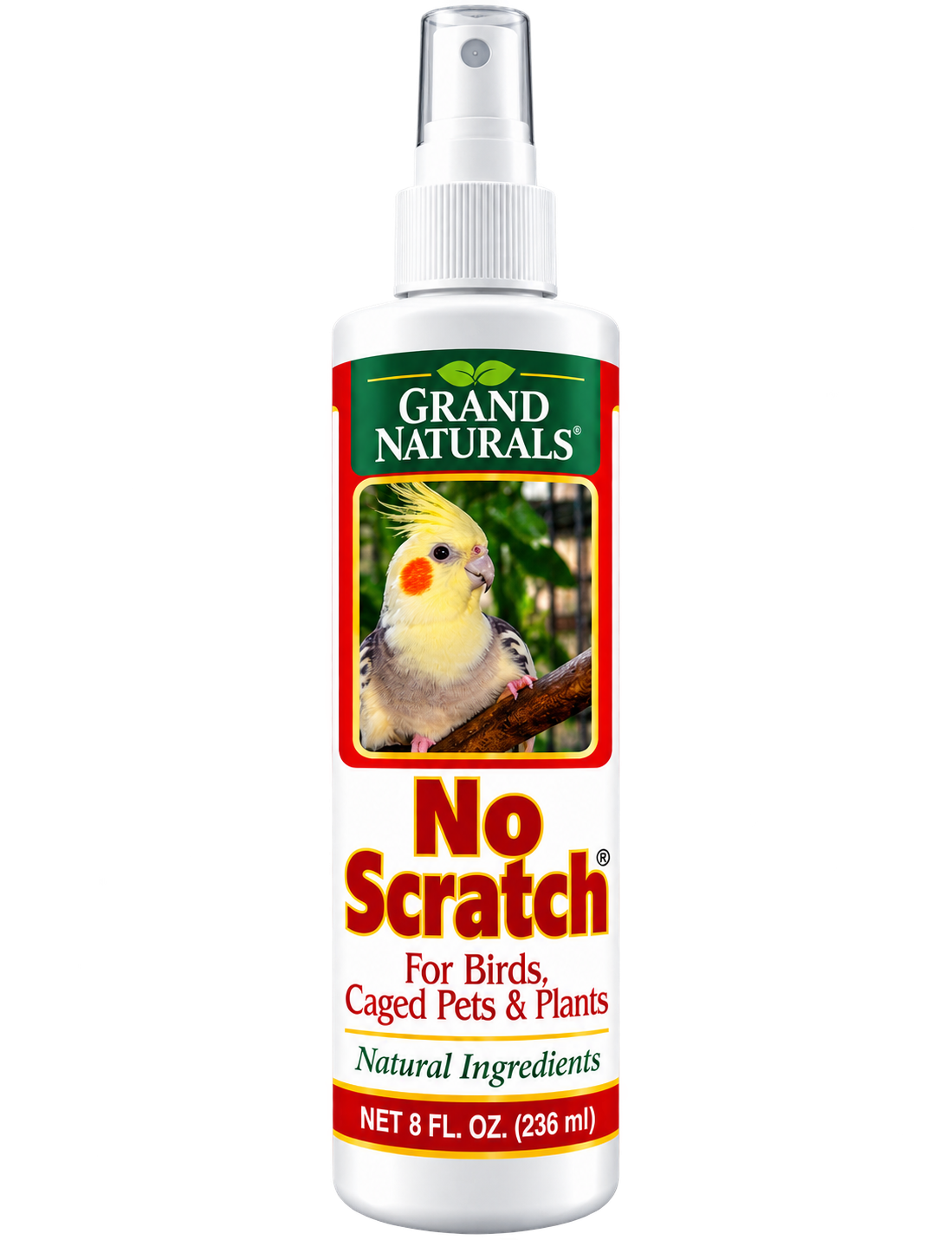 No Scratch!