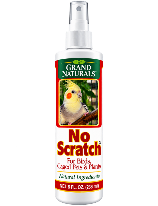 No Scratch!