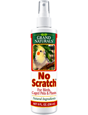 No Scratch!