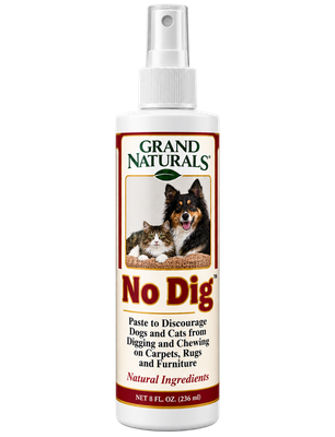 No Dig!