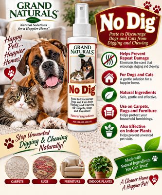 No Dig!