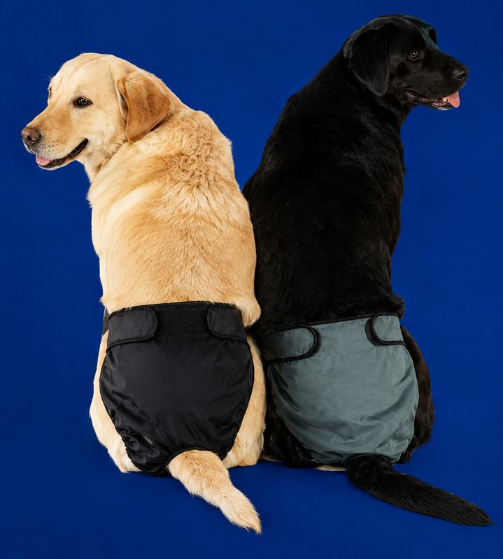 Hot Pants ON SALE! 50% OFF