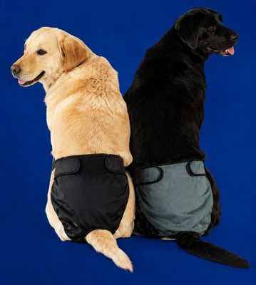 Hot Pants ON SALE! 50% OFF