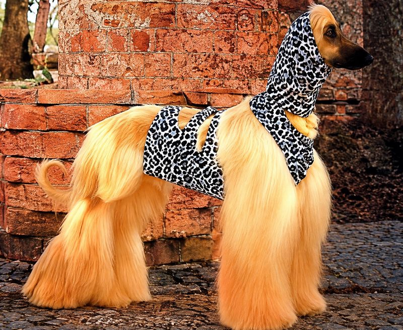 Pee Vest and Matching Snood &amp; Leggings  "ON SALE"