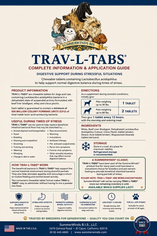 Travel Tablets- ON SALE! 50% OFF