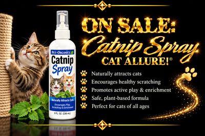 CATNIP SPRAY ON SALE