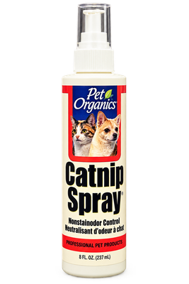CATNIP SPRAY ON SALE