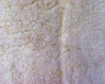 ​Whelping Pad Fleece - LARGE - - 48" x 48"