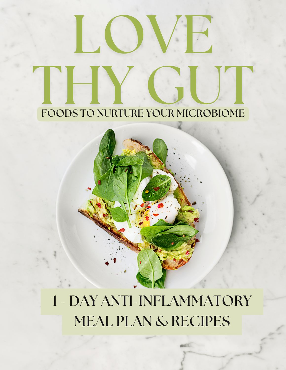 Love Thy Gut Free eBook + 1 Day Anti-inflammatory Meal Plan