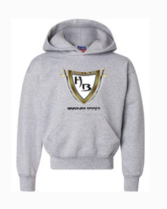 Boys Grey Hoodie/BWG
