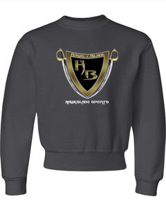 Boys Gray SweatShirt/BG