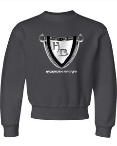 Boys Gray SweatShirt/SB