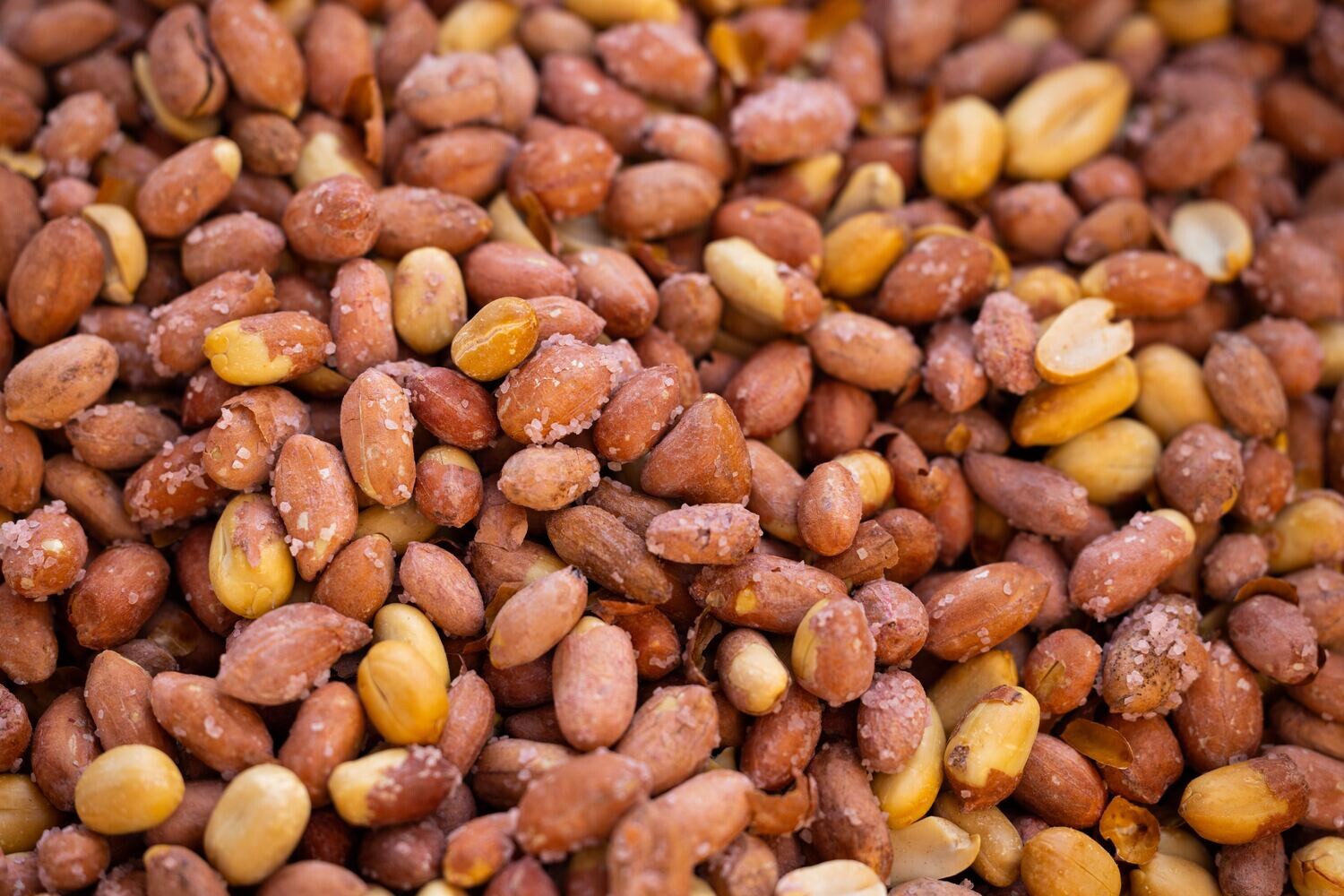 Peanuts Red Skin