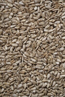 Seeds