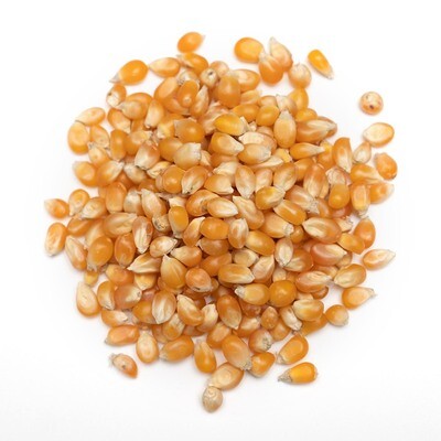 Popcorn Seeds
