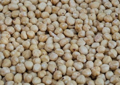 Blanched Hazelnuts