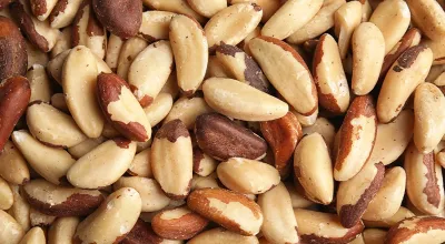 Brazil Nuts Pieces