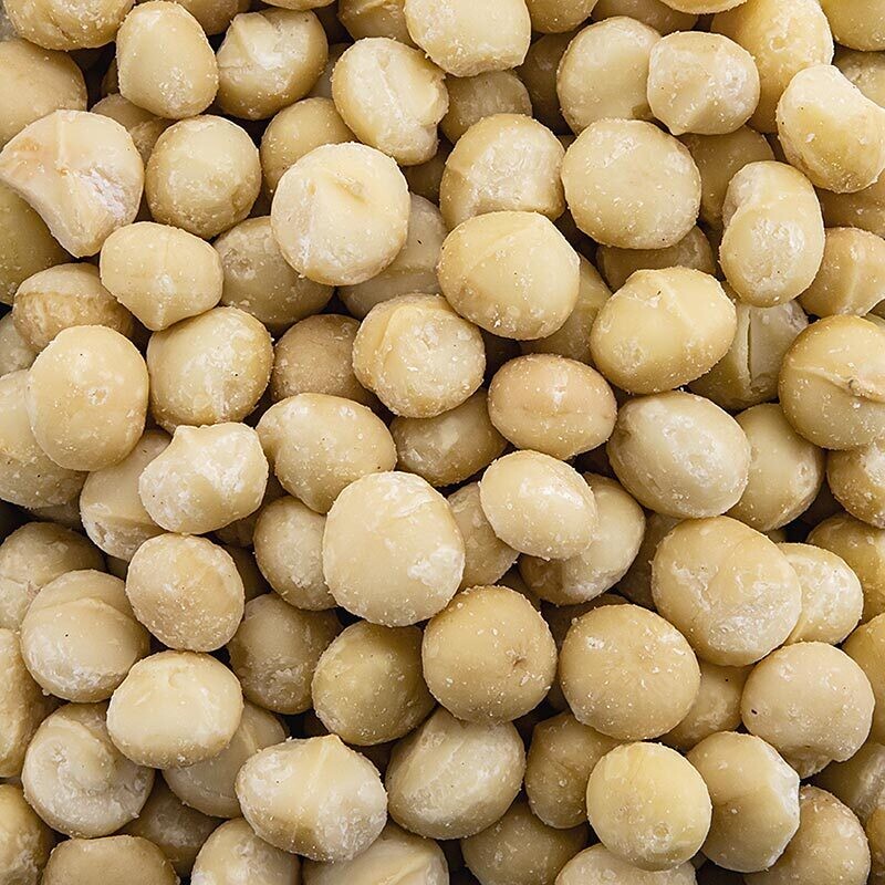 Macadamia