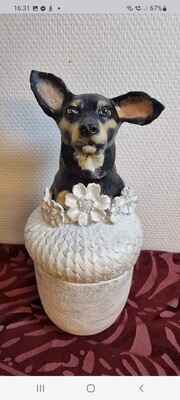 Urns