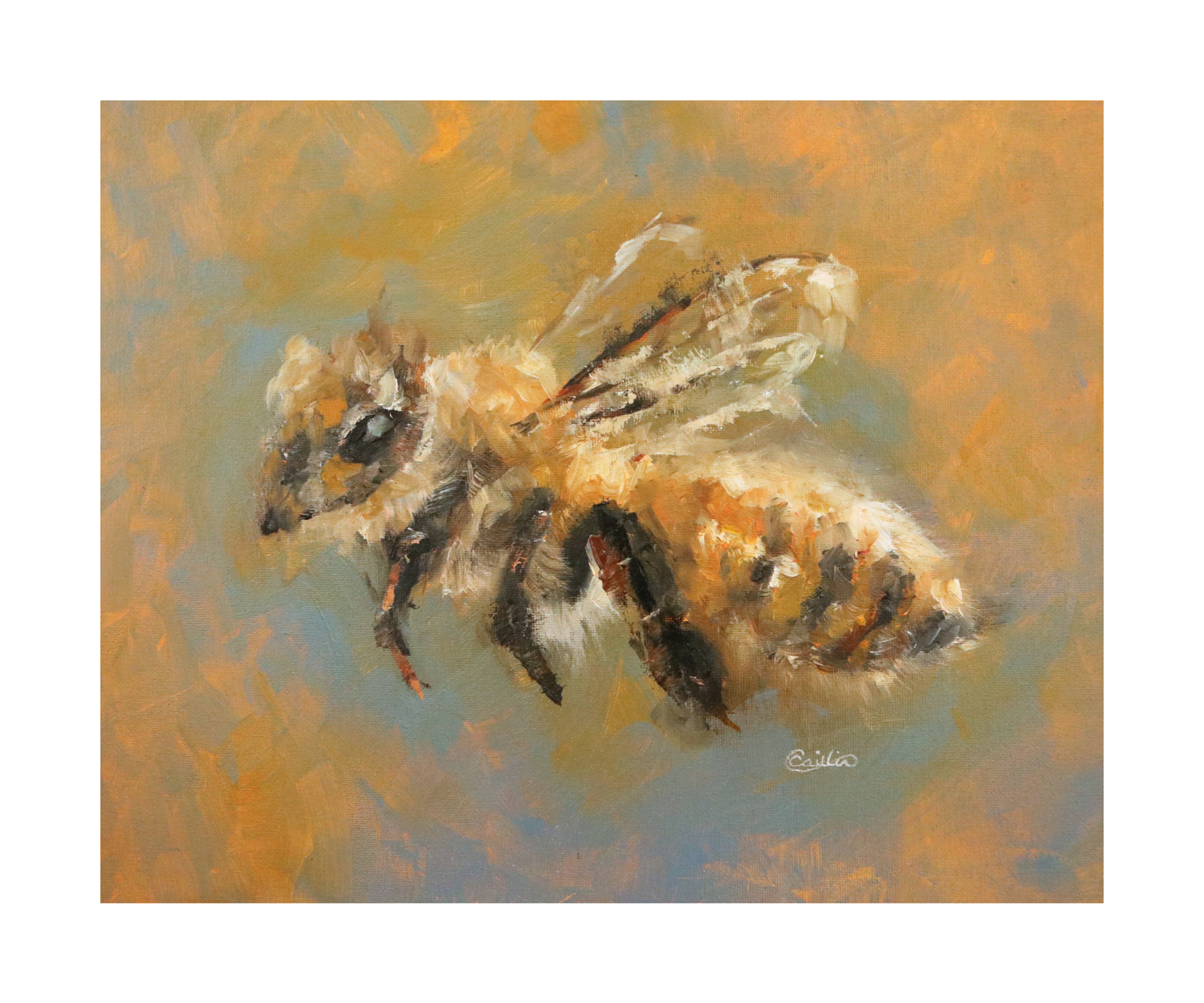 Bloem The Bee Limited Edition (Of 500) Glicée Print