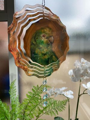 Wind catcher Paul The Parrot