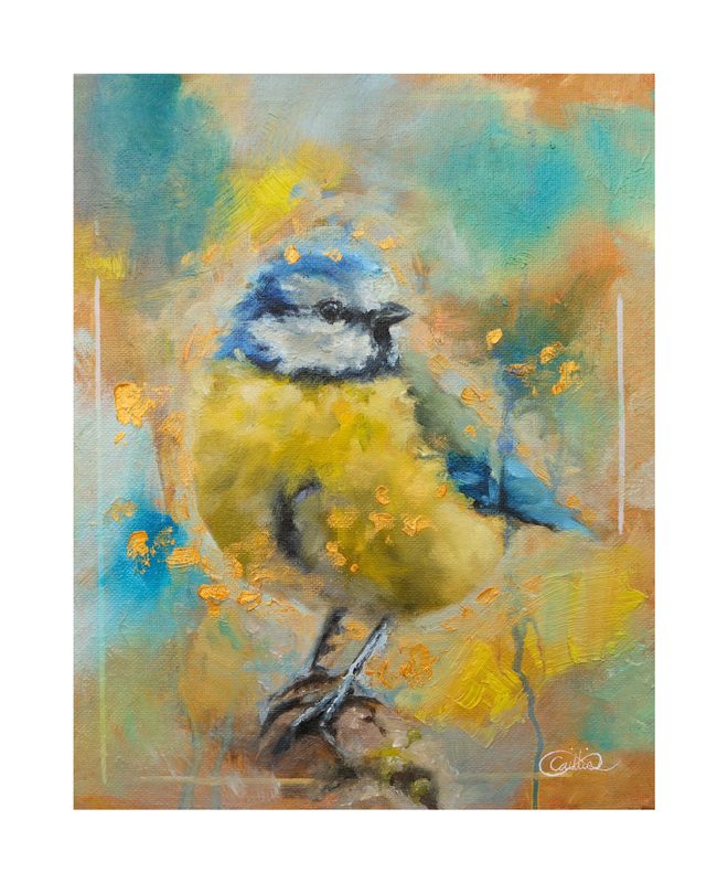 Blue Tit Limited Edition (Of 500) Glicée Print
