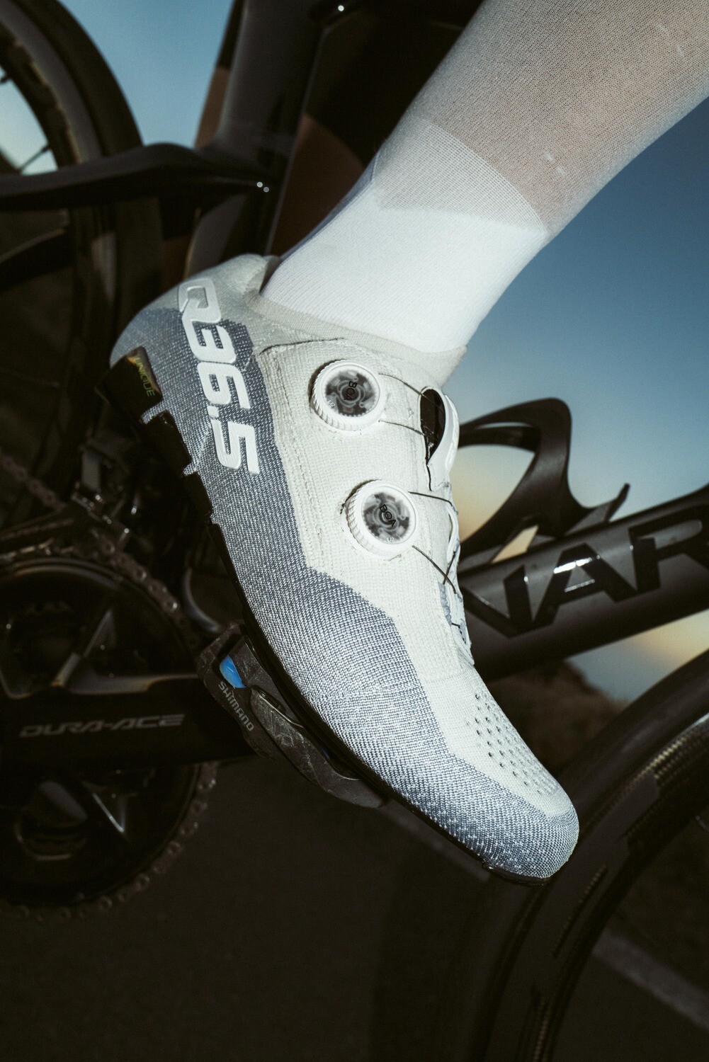 Q36.5 Dottore Clima Road Shoes