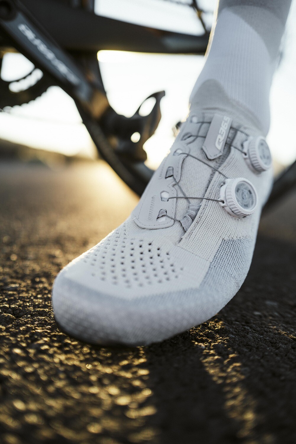 Q36.5 Dottore Clima Road Shoes