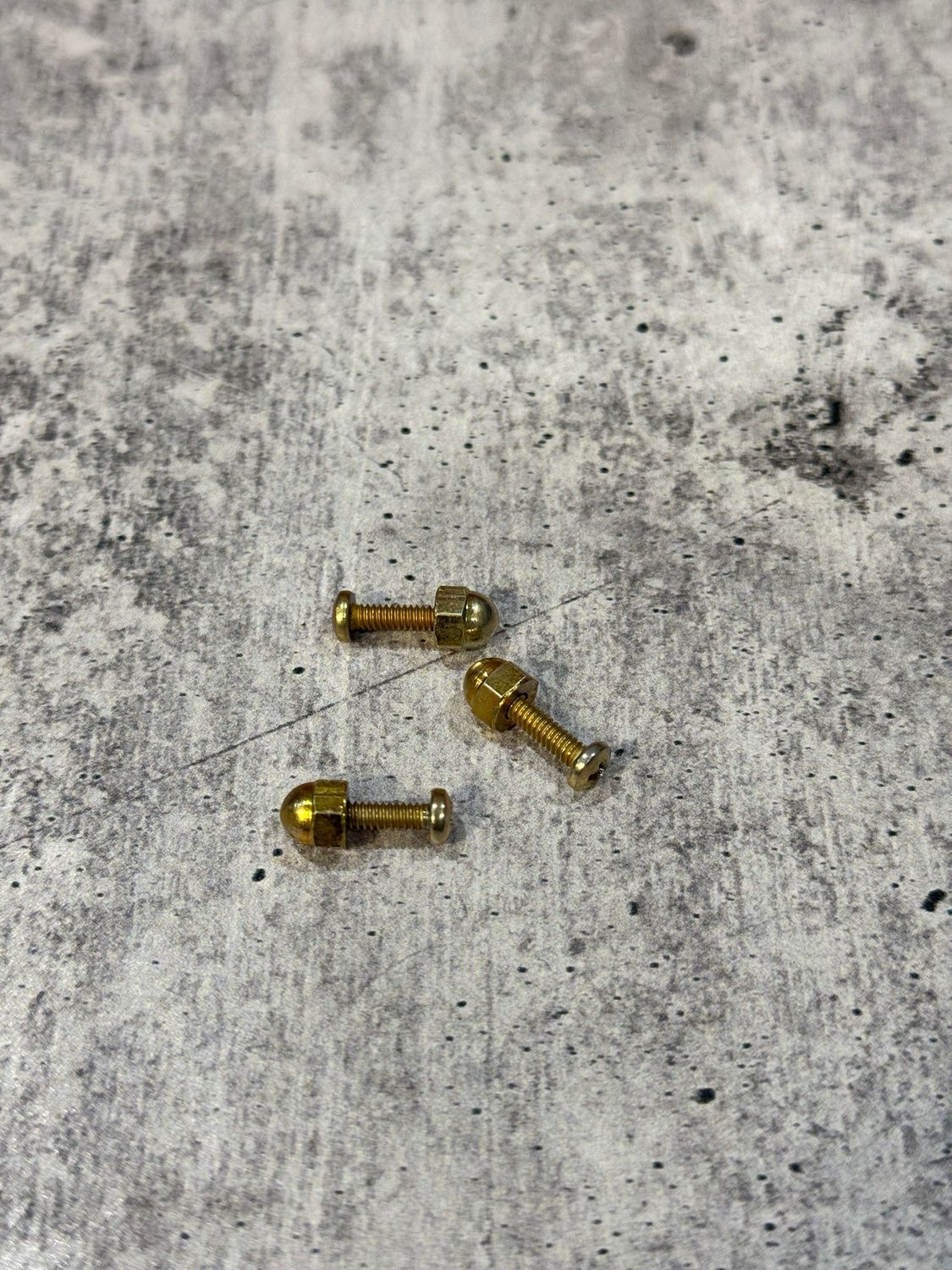 WCMSA- Acorns And Screws