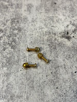 WCMSA- Acorns And Screws