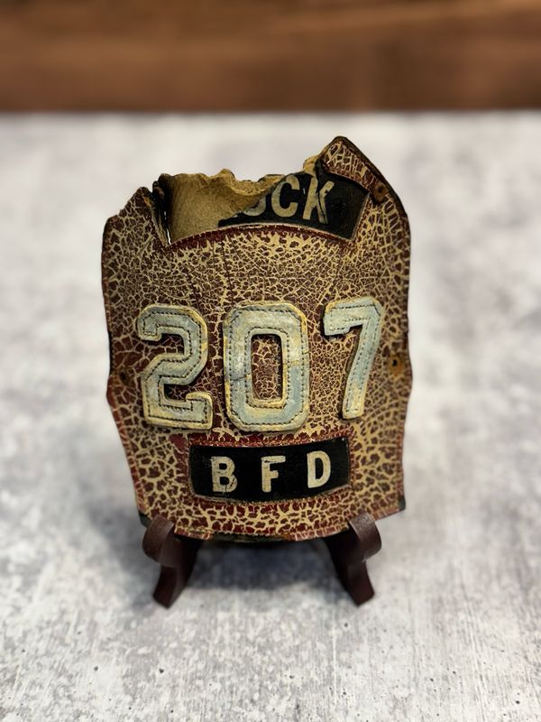WCS - 207 BFD Shield