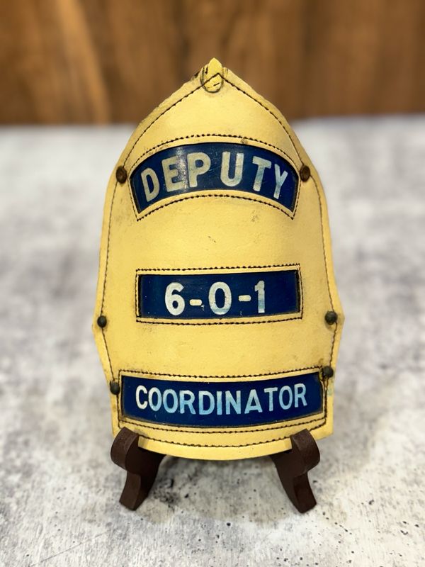 WCS - Deputy 601 Coordinator 